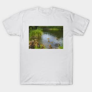 Ducks on the lake T-Shirt